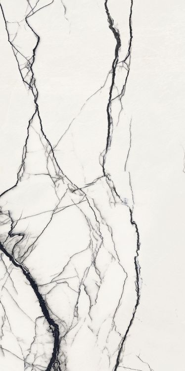 B&W Breach High-Glossy 24 x 48